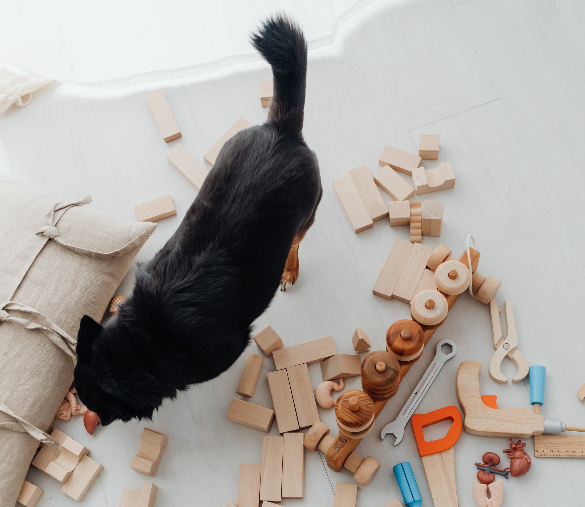 The Benefits of Interactive Toys for Pets: A Comprehensive Guide