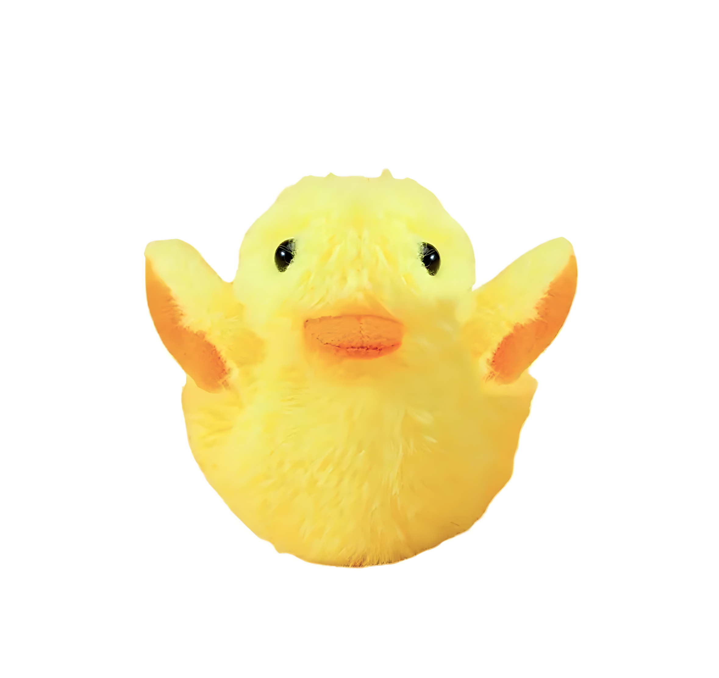 Flapping Duck Toy