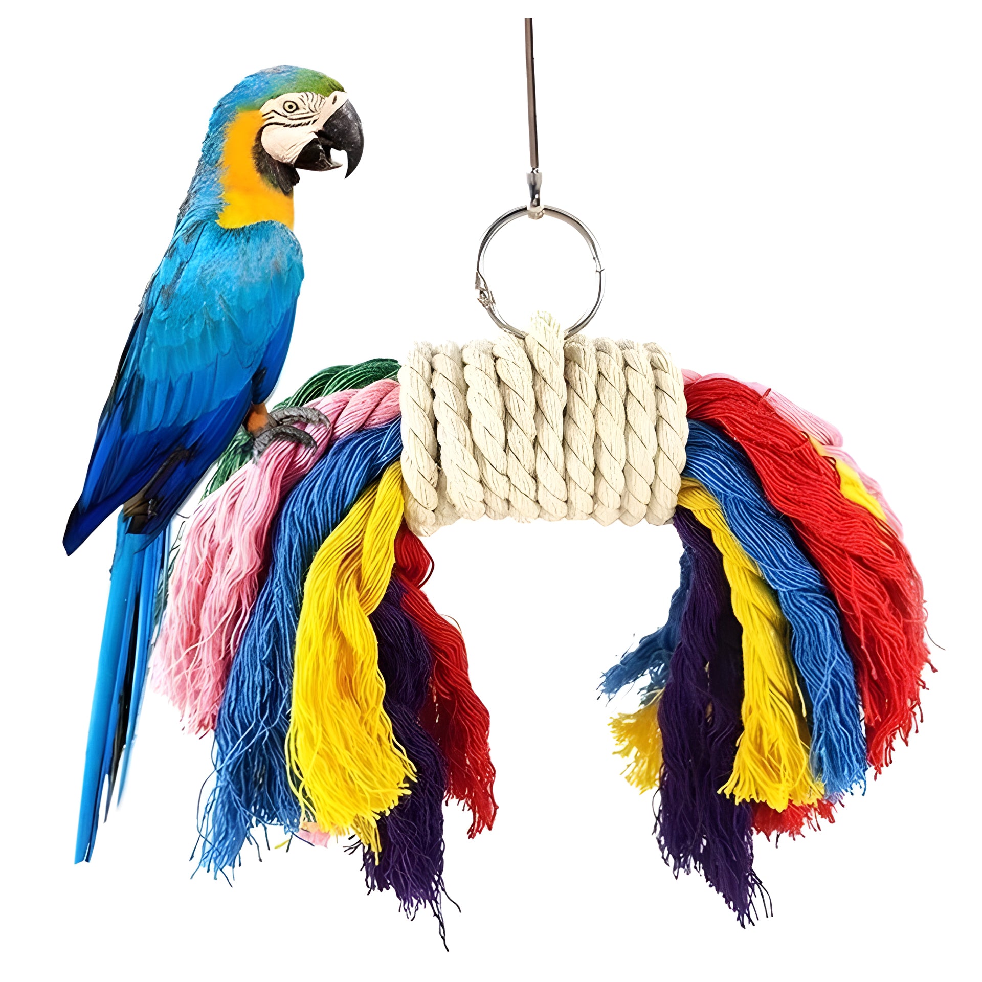 Parrot Rope Toy